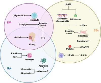 Proteomics: Potential techniques for discovering the pathogenesis of connective tissue diseases-interstitial lung disease